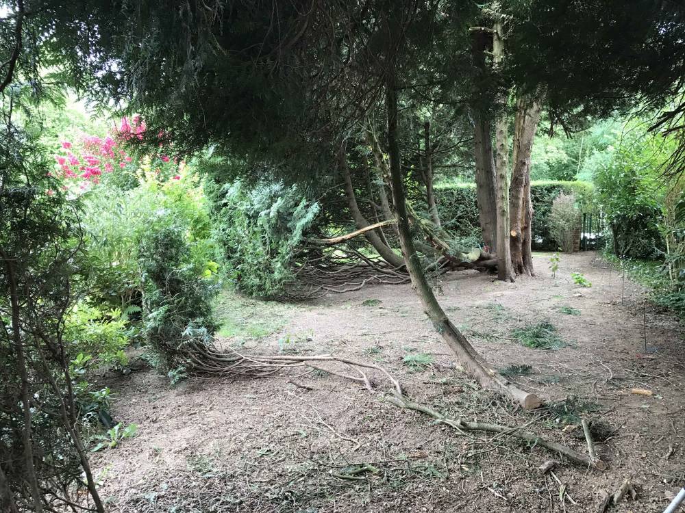 nettoyage jardin