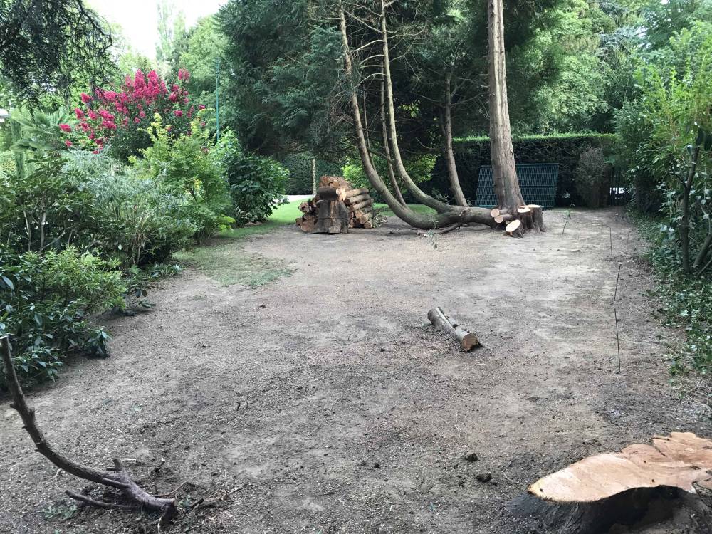 Jardin élagué et nettoyé par Thibaut