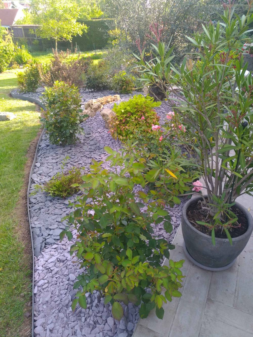Création de jardin par un paysagiste