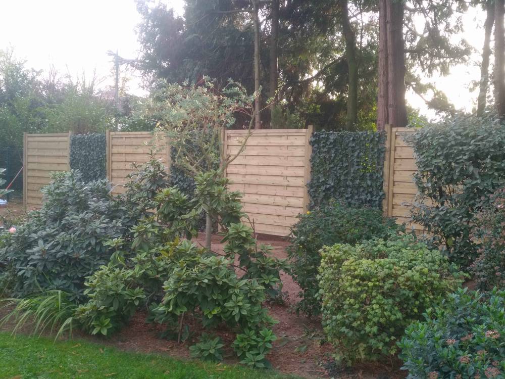 Jardin par Thibaut Elagage paysagiste
